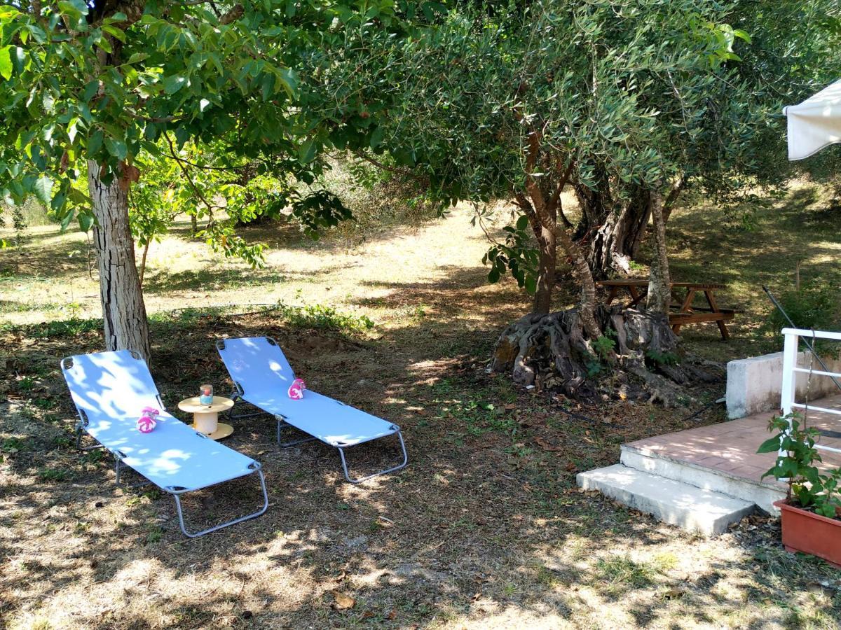 Family Holiday Apartment With Garden & Bbq Velonades  Exterior photo