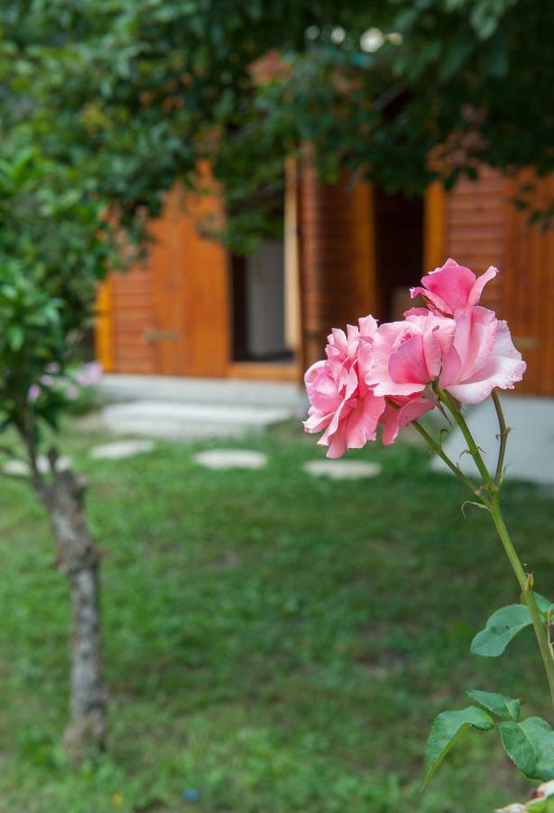 Family Holiday Apartment With Garden & Bbq Velonades  Exterior photo